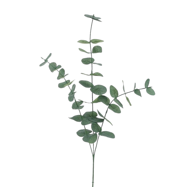 Spiral Eucalyptus Branch, 31"