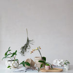 Stoneware Sculptural Planter, Matte White