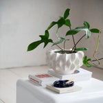 Stoneware Sculptural Planter, Matte White