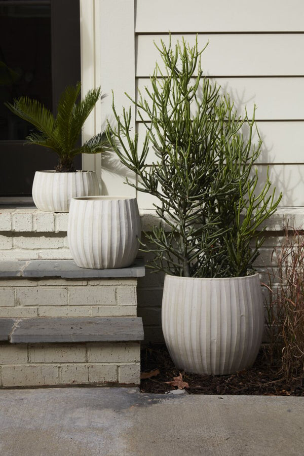 Arid Pot, 10.5" x 10.25"