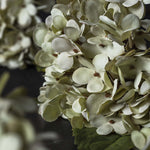 Artificial Hydrangea, Soft Green, 13.39"
