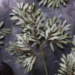 Artificial Willow, Soft Green, 33.46"