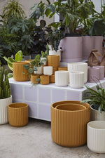 Beam Pot, Off-White, 2 Sizes