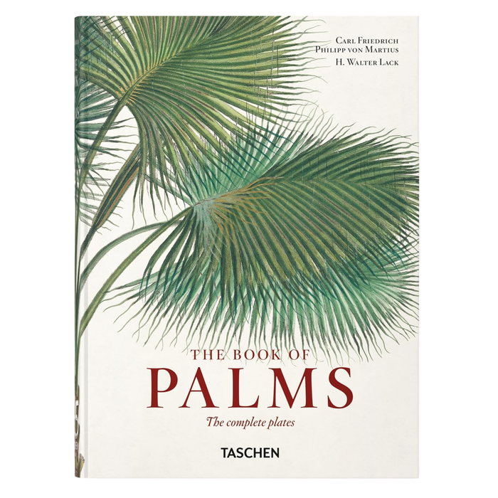 Martius: the Book of Palms