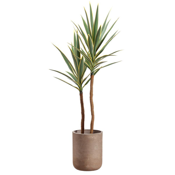 Yucca Tree in Cement Pot, 56"