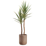 Yucca Tree in Cement Pot, 56"