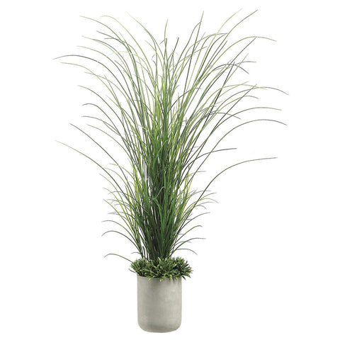 Tall Grass with Rye Grass in Fiber Cement Planter, Green, 70"