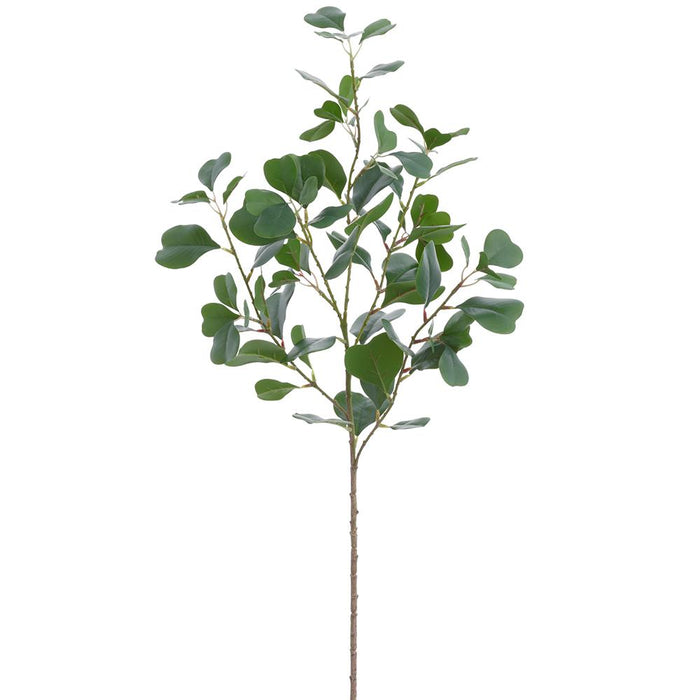 Ficus Spray, 34"