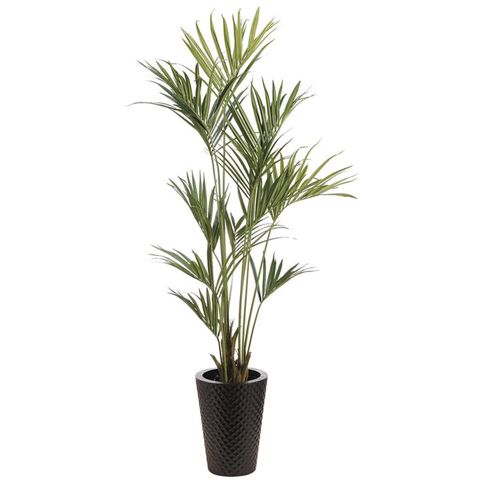 Kentia Palm in Metal Pot, 8'
