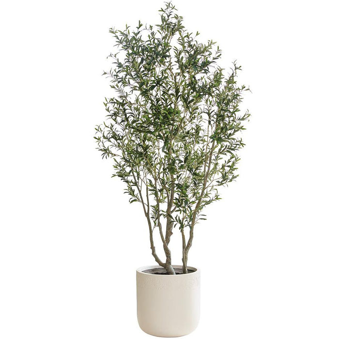 Olive Tree in Fiber Clay Plante, 104"