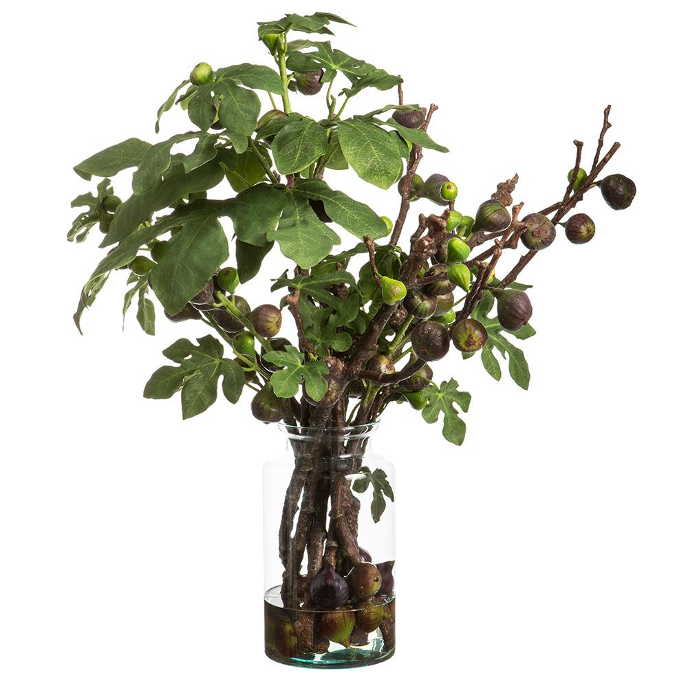 Fig Branches in Glass Vase Green Burgundy, 36" x 32"