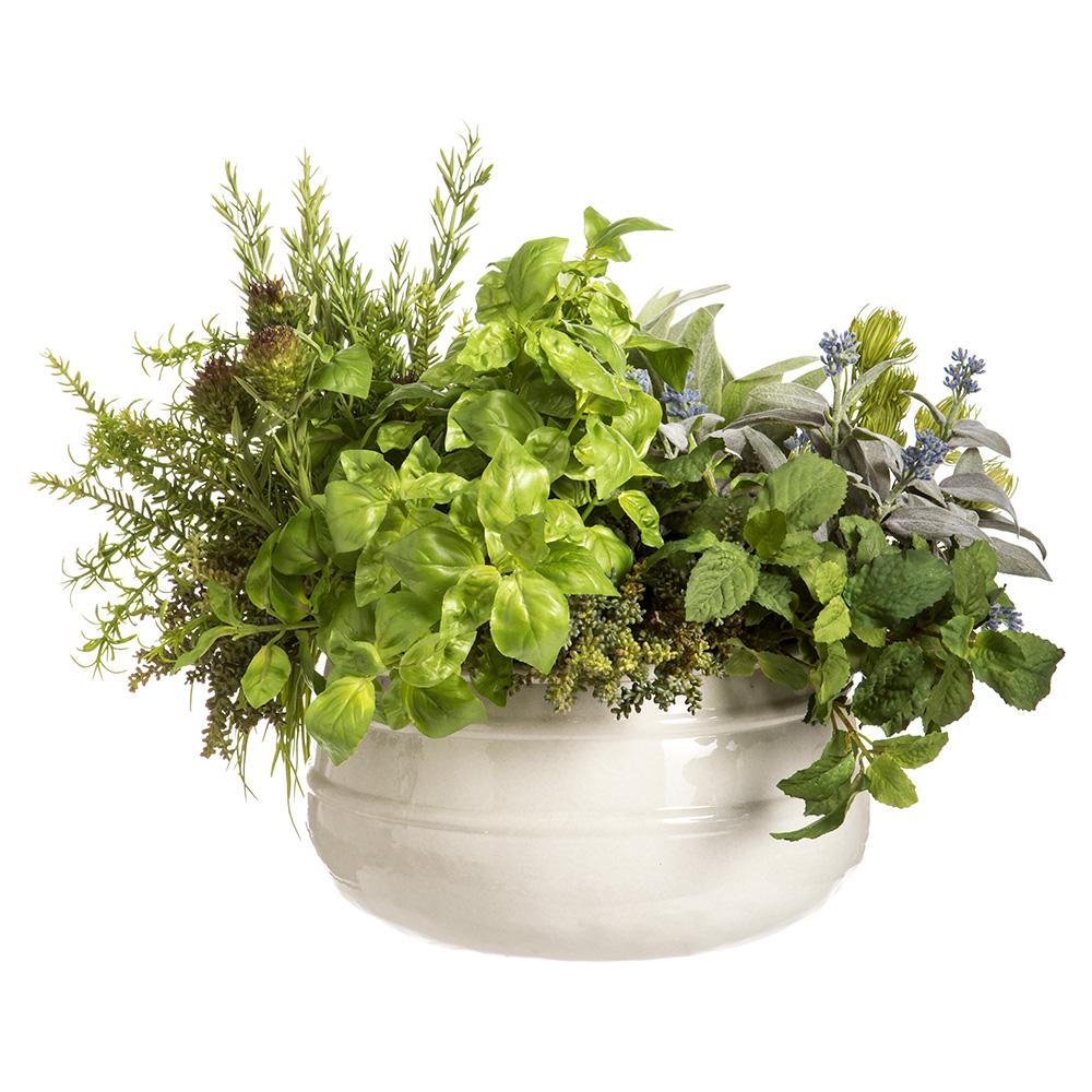 Sedum/Rosemary/Lavender in Pot, Green Burgundy, 24" x 16"