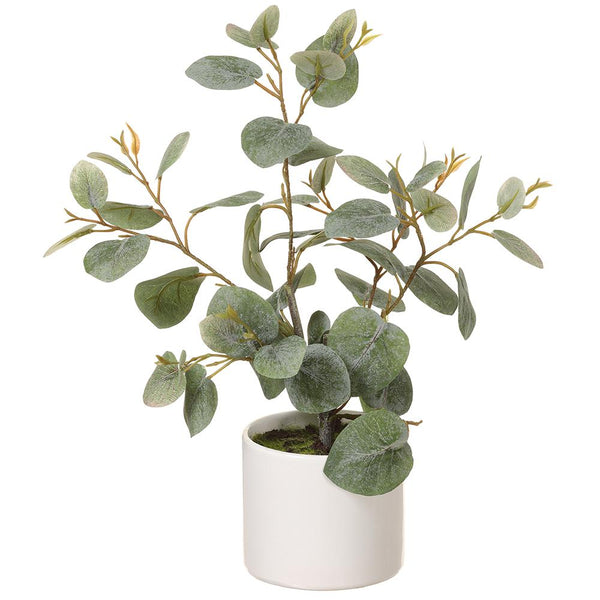 14.5" Eucalyptus Plant in Ceramic Pot Green