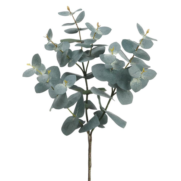 Small Eucalyptus Bush, 16.5"