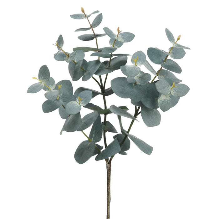 Small Eucalyptus Bush, 16.5"
