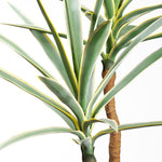 Yucca Tree in Cement Pot, 56"