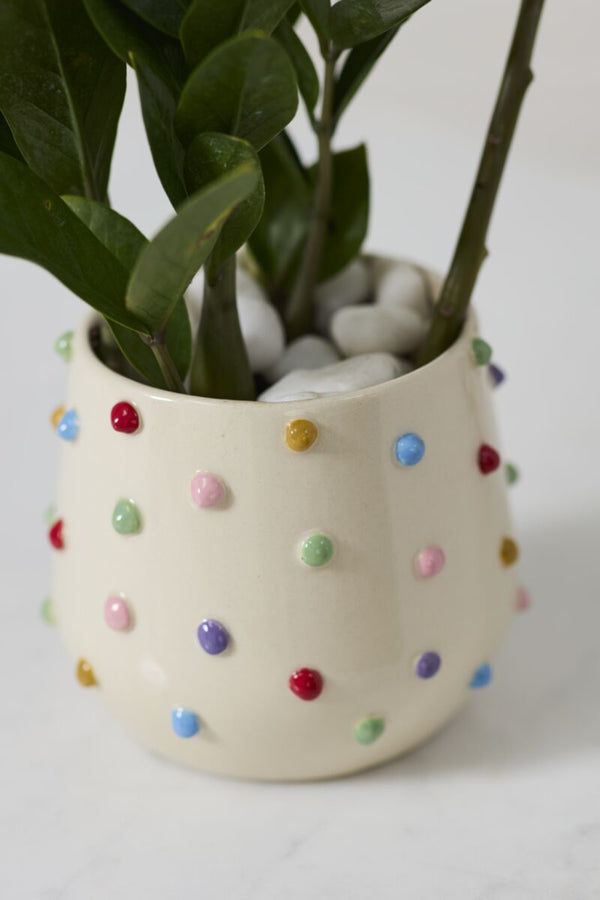 Colour Dot Pot, 5.25"Dia
