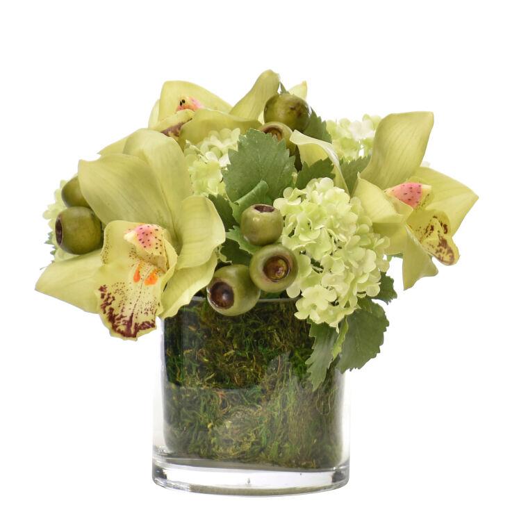 Orchid, Green, in Glass Cylinder, Faux Moss Garden, 8"