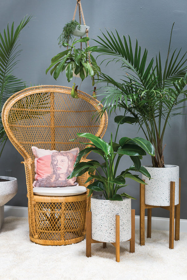 Dale Plant Stand, 2 Sizes