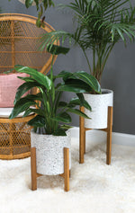 Dale Plant Stand, 2 Sizes
