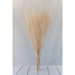 Dried Natural Jute Stick Bunch