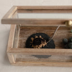 Mango Wood and Glass Display Box with Lid
