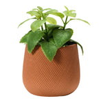 Large Engraved Stoneware Planter, Terracotta