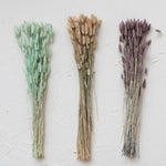 Dried Natural Bunny Tail Bunch, Natural