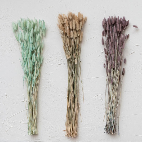Dried Natural Bunny Tail Bunch, Natural