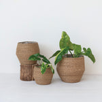 Woven Seagrass Baskets with Lining, 3 Sizes