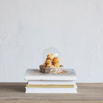 Glass Cloche, 5.25" Dia x 5.75"H