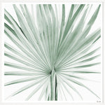 Teal Palms I, 37" x 37"