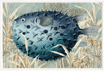 Burrfish, 16" x 23"