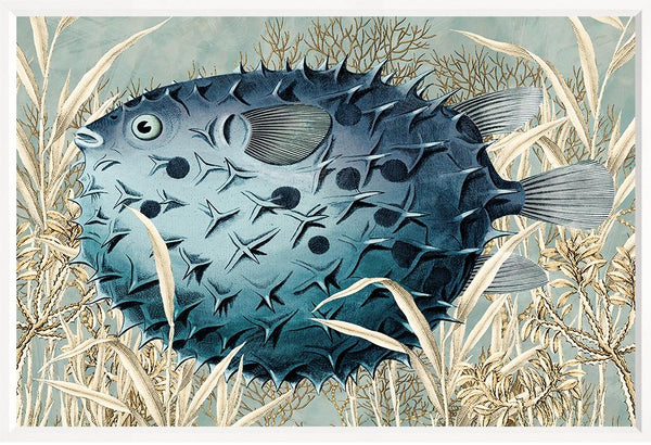 Burrfish, 16" x 23"