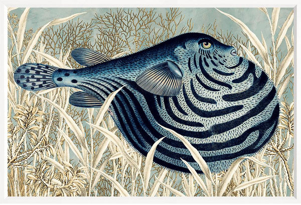 Nile Puffer, 16" x 23"
