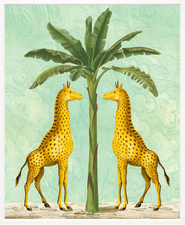 African Giraffes on Turquoise, 19" x 23"