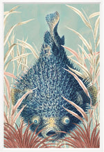 Pufferfish I, 21" x 30"