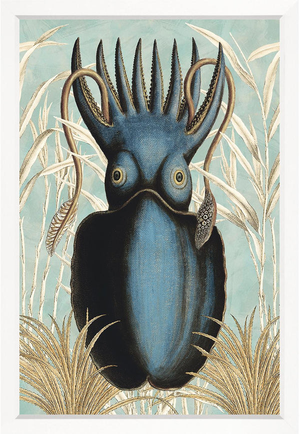 Ancient Cuttlefish II, 34" x 50"