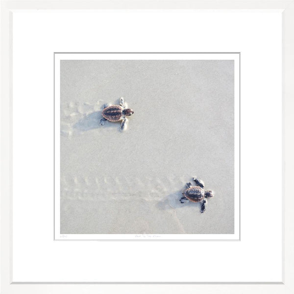 Race To The Ocean, 29" x 29"