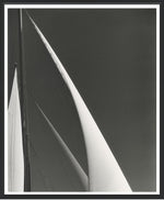 Foresails, 37"W x 44"H