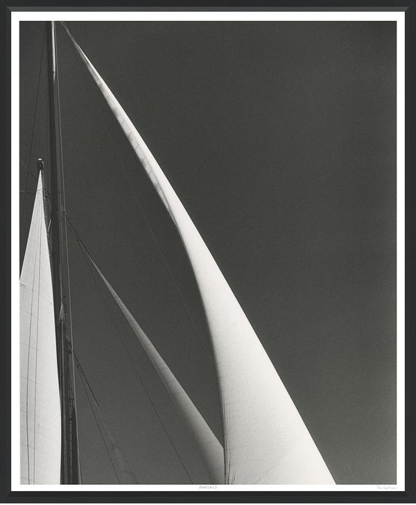 Foresails, 37"W x 44"H