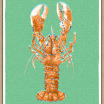 Caribbean Crustaceans II, 19" x 23"