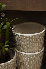 Elias Footed Pot, 5.5" x 5.5"