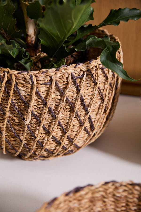 Entwine Baskets, 3 Sizes