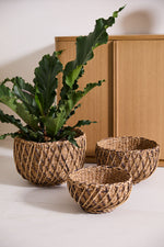 Entwine Baskets, 3 Sizes