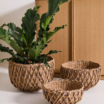 Entwine Baskets, 3 Sizes