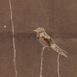 Fleeting Moment I, 20.75" x 20.75"