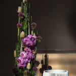 Grayton Compote, 2 Sizes