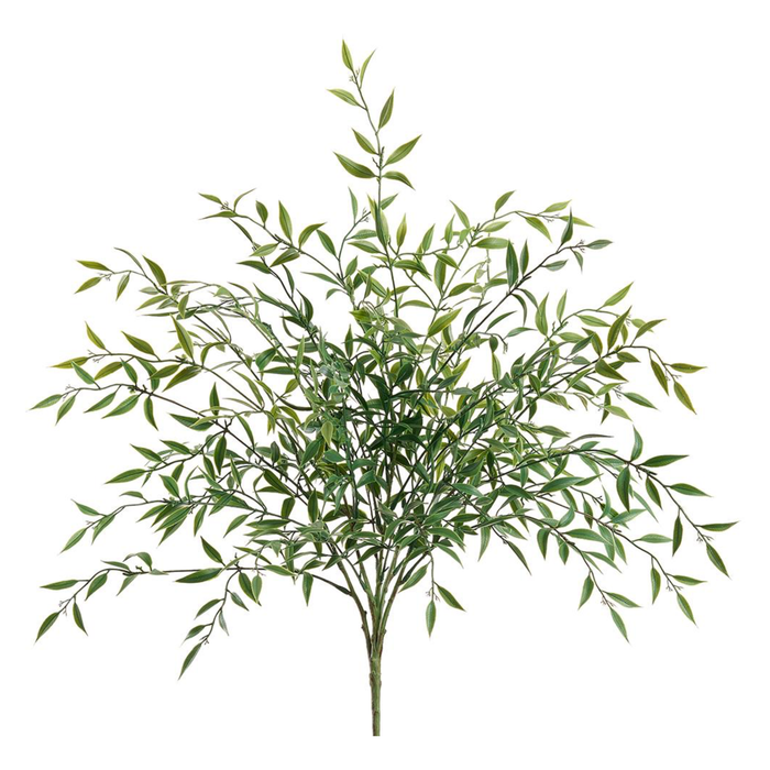 Willow Leaf Bush, 25.5"