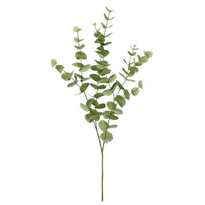 Light Green Eucalyptus Spray, 40"